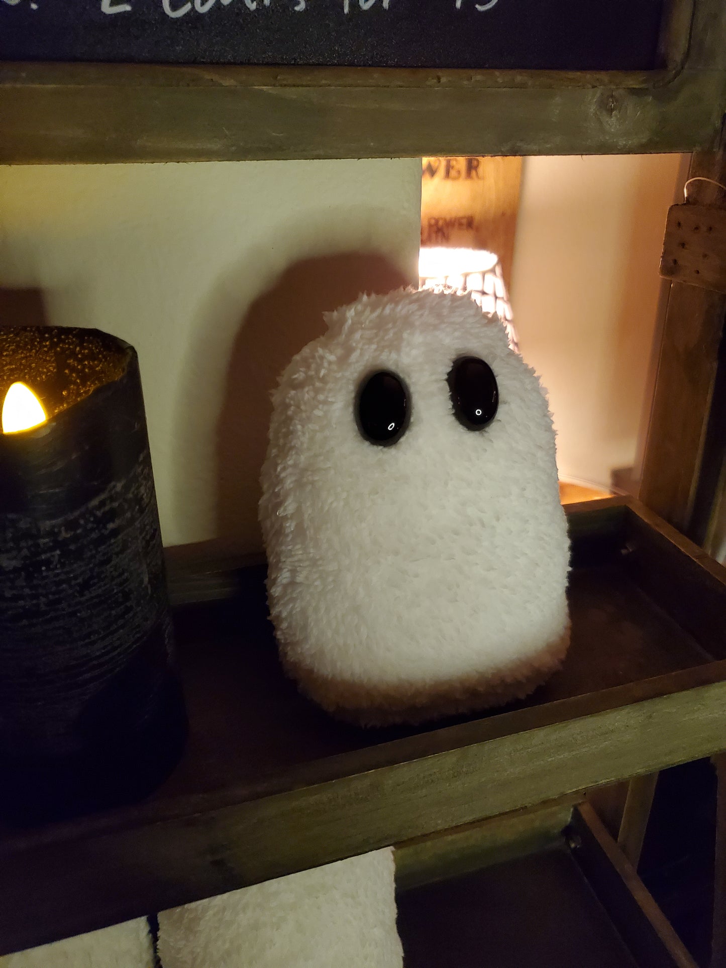 Adopt a Ghost